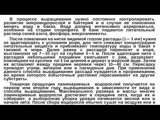 В процессе выращивания нужно постоянно контролировать развитие микроводорослей и бактерий