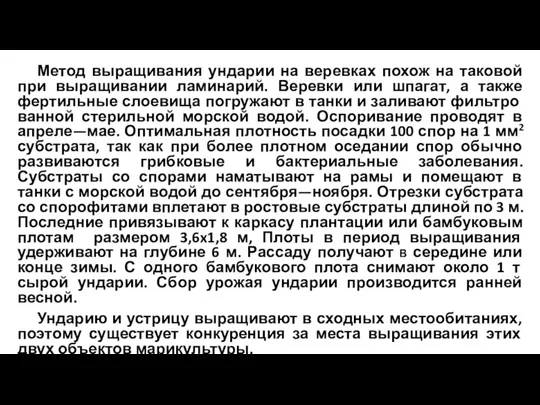 Метод выращивания ундарии на веревках похож на таковой при выращивании