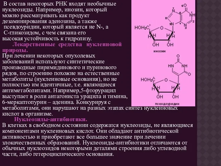 В состав некоторых РНК входят необычные нуклеозиды. Например, инозин, который