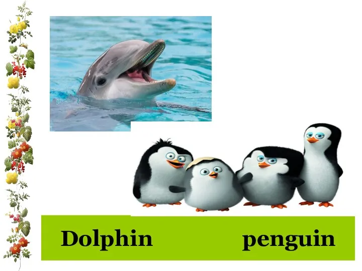Dolphin penguin