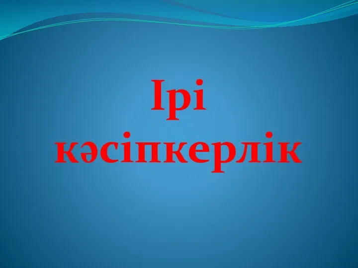 Ірі кәсіпкерлік