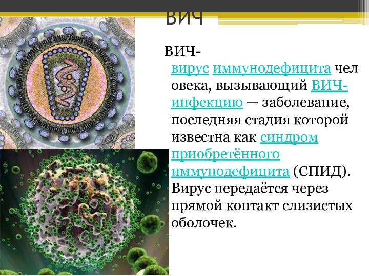 ВИЧ ВИЧ-вирус иммунодефицита человека, вызывающий ВИЧ-инфекцию — заболевание, последняя стадия