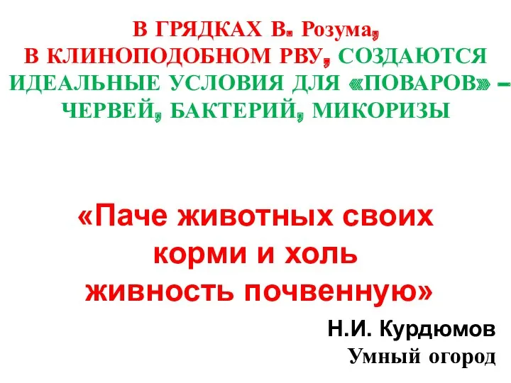 В ГРЯДКАХ В. Розума, В КЛИНОПОДОБНОМ РВУ, СОЗДАЮТСЯ ИДЕАЛЬНЫЕ УСЛОВИЯ