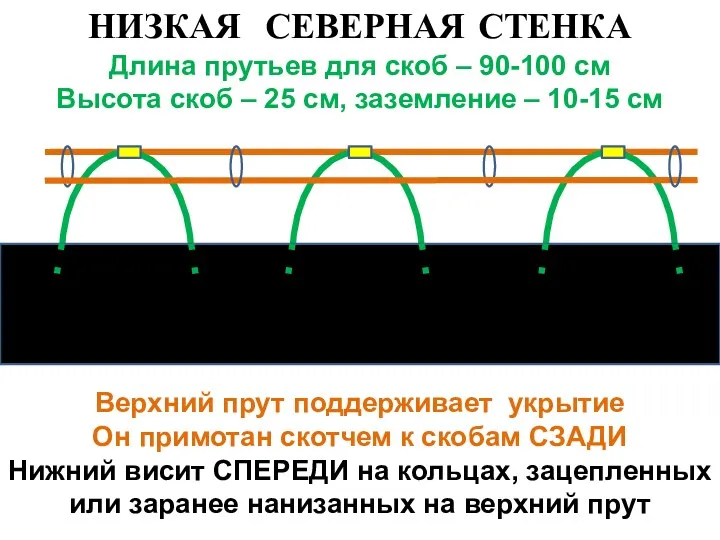 НИЗКАЯ СЕВЕРНАЯ СТЕНКА Длина прутьев для скоб – 90-100 см