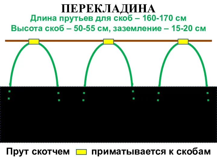 ПЕРЕКЛАДИНА Длина прутьев для скоб – 160-170 см Высота скоб