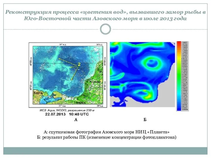 Реконструкция процесса «цветения вод», вызвавшего замор рыбы в Юго-Восточной части Азовского моря в