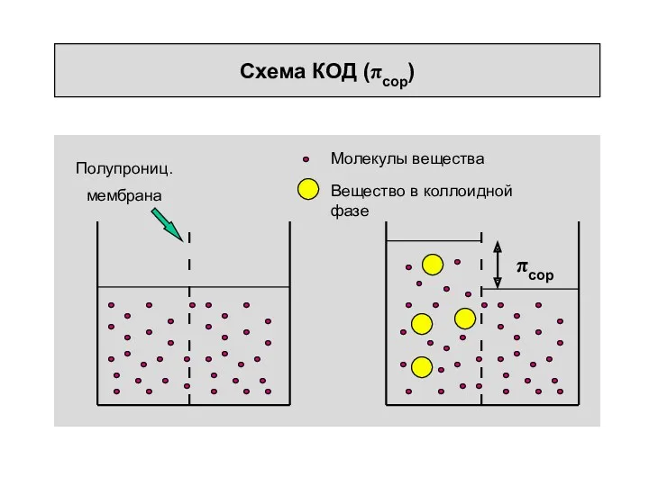 Схема КОД (πcop) πcop Полупрониц. мембрана Молекулы вещества Вещество в коллоидной фазе