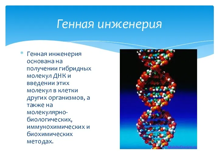 Генная инженерия основана на получении гибридных молекул ДНК и введении этих молекул в