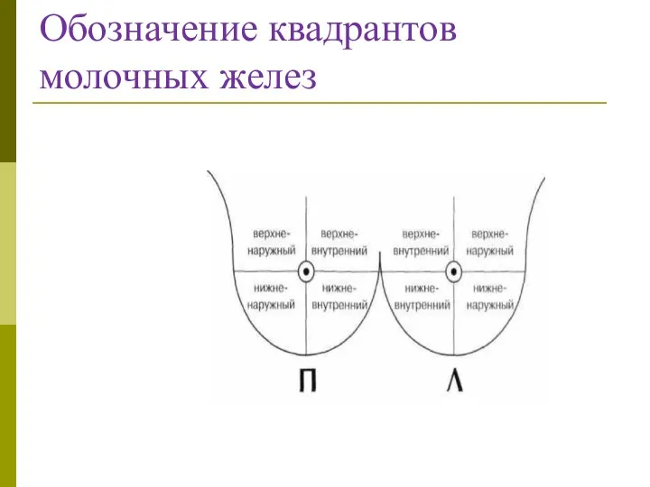 Обозначение квадрантов молочных желез