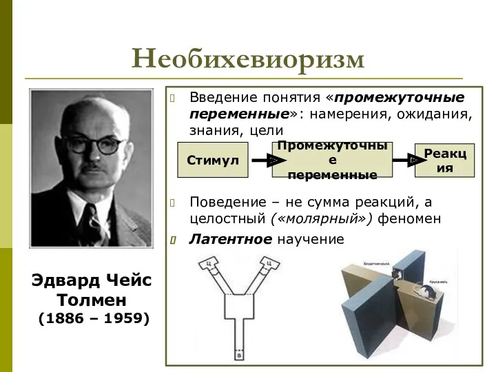 Необихевиоризм Введение понятия «промежуточные переменные»: намерения, ожидания, знания, цели Поведение