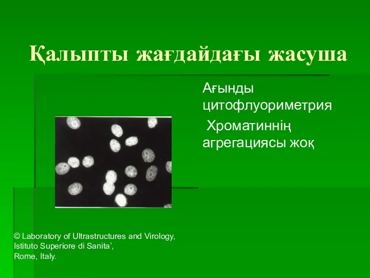 Қалыпты жағдайдағы жасуша Ағынды цитофлуориметрия Хроматиннің агрегациясы жоқ © Laboratory