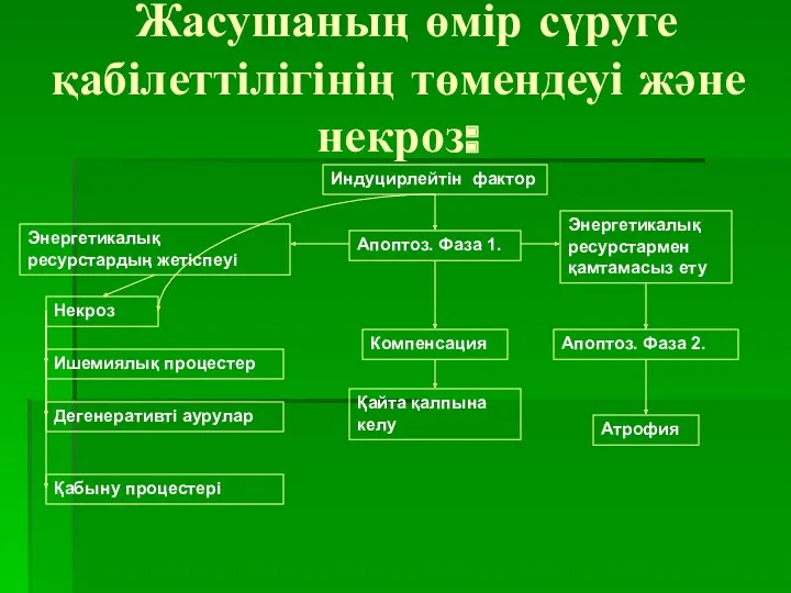 Жасушаның өмір сүруге қабілеттілігінің төмендеуі және некроз: Индуцирлейтін фактор Компенсация