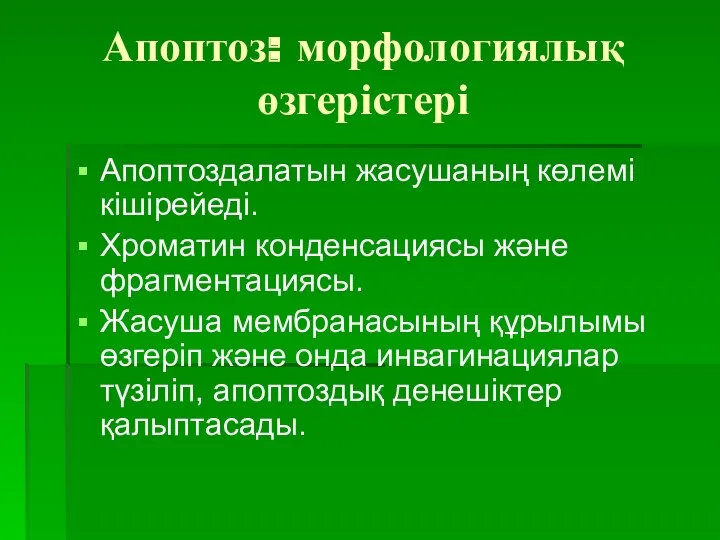 Апоптоз: морфологиялық өзгерістері Апоптоздалатын жасушаның көлемі кішірейеді. Хроматин конденсациясы және