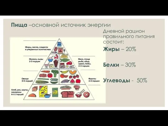 Пища –основной источник энергии Дневной рацион правильного питания состоит: Жиры