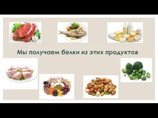 Мы получаем белки из этих продуктов