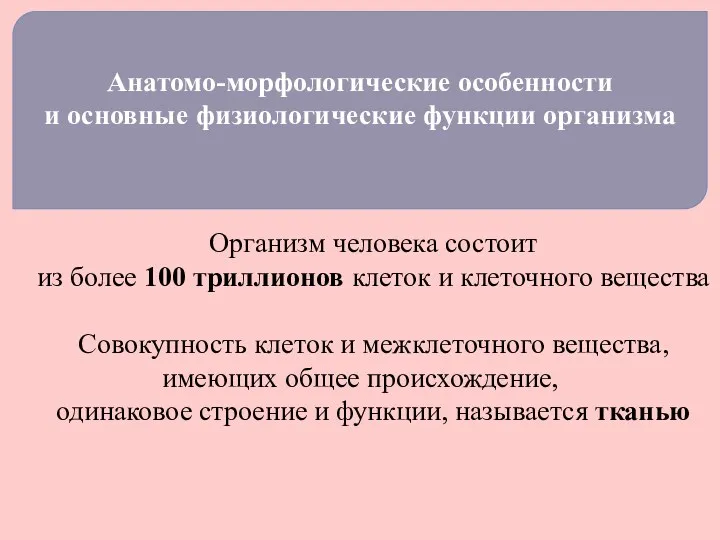 Анатомо-морфологические особенности и основные физиологические функции организма Организм человека состоит