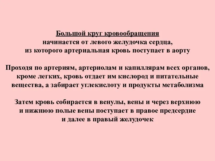 Большой круг кровообращения начинается от левого желудочка сердца, из которого