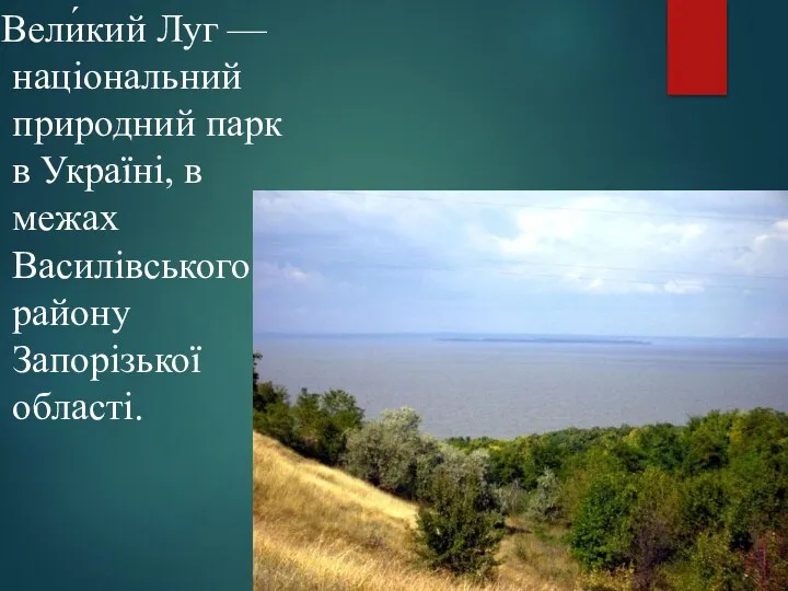 Вели́кий Луг — національний природний парк в Україні, в межах Василівського району Запорізької області.