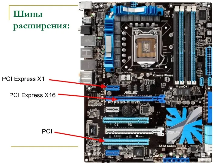 Шины расширения: PCI Express X16 PCI Express X1 PCI