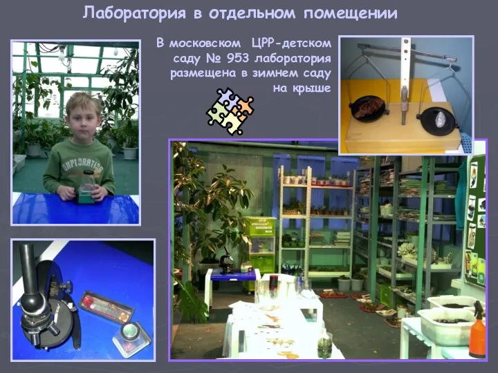 В московском ЦРР-детском саду № 953 лаборатория размещена в зимнем саду на крыше