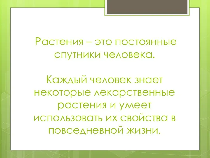 Растения – это постоянные спутники человека. Каждый человек знает некоторые