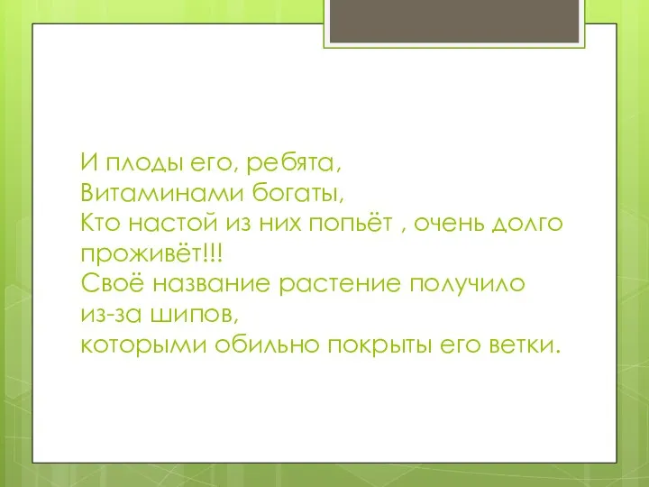 И плоды его, ребята, Витаминами богаты, Кто настой из них