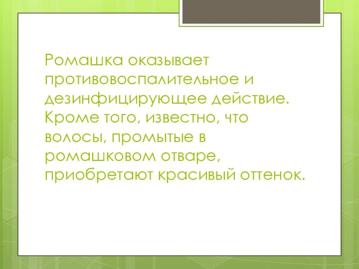 Ромашка оказывает противовоспалительное и дезинфицирующее действие. Кроме того, известно, что