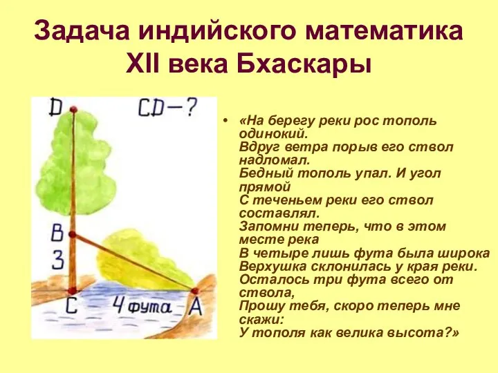 Задача индийского математика XII века Бхаскары «На берегу реки рос тополь одинокий. Вдруг