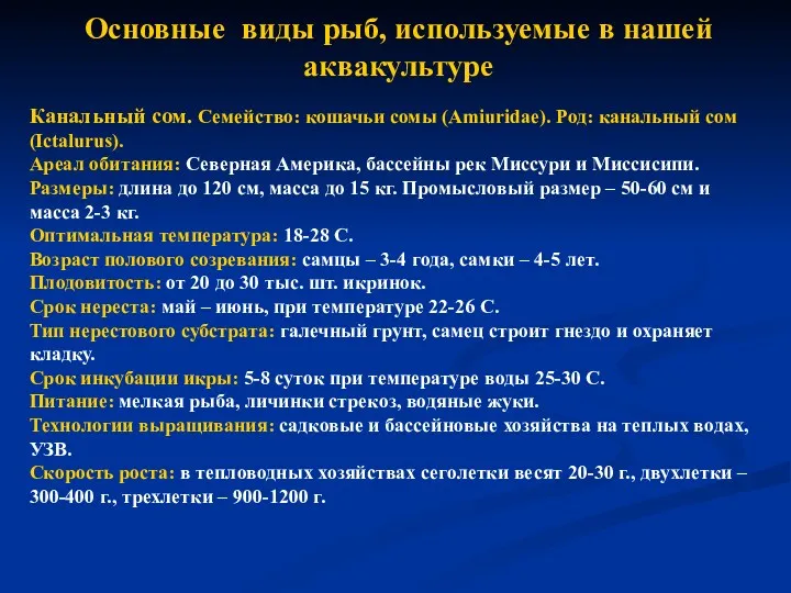 Основные виды рыб, используемые в нашей аквакультуре Канальный сом. Семейство: