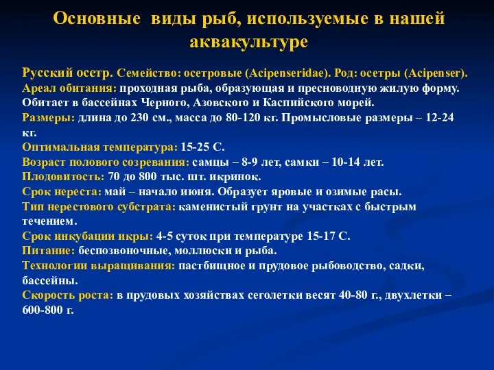 Основные виды рыб, используемые в нашей аквакультуре Русский осетр. Семейство: