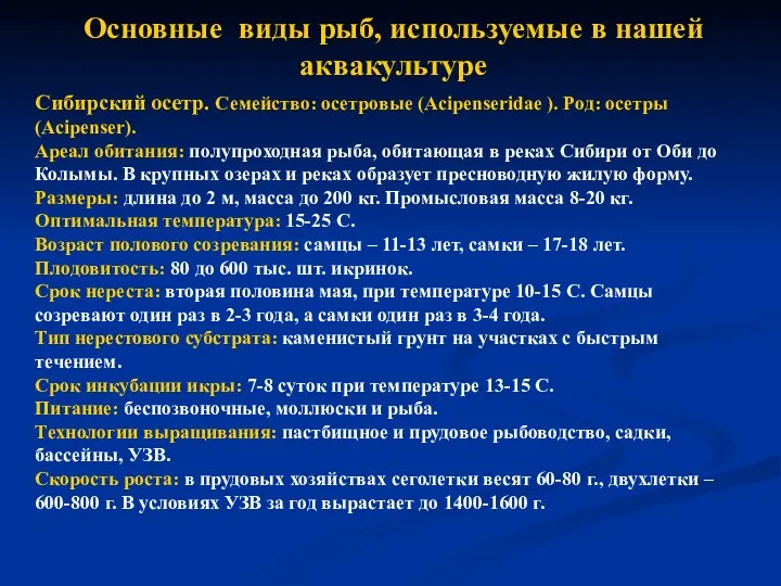 Основные виды рыб, используемые в нашей аквакультуре Сибирский осетр. Семейство: