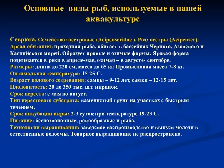 Основные виды рыб, используемые в нашей аквакультуре Севрюга. Семейство: осетровые