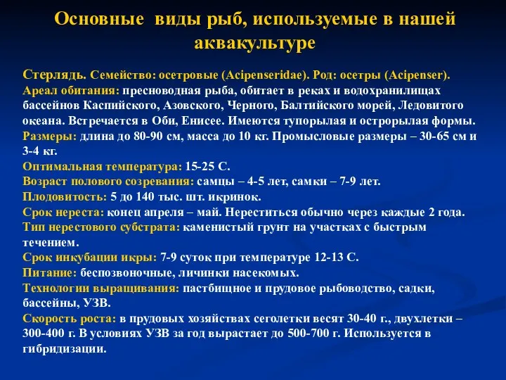 Основные виды рыб, используемые в нашей аквакультуре Стерлядь. Семейство: осетровые