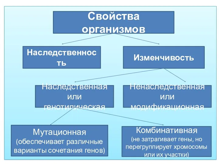 Свойства организмов Наследственность Изменчивость Наследственная или генотипическая Ненаследственная или модификационная