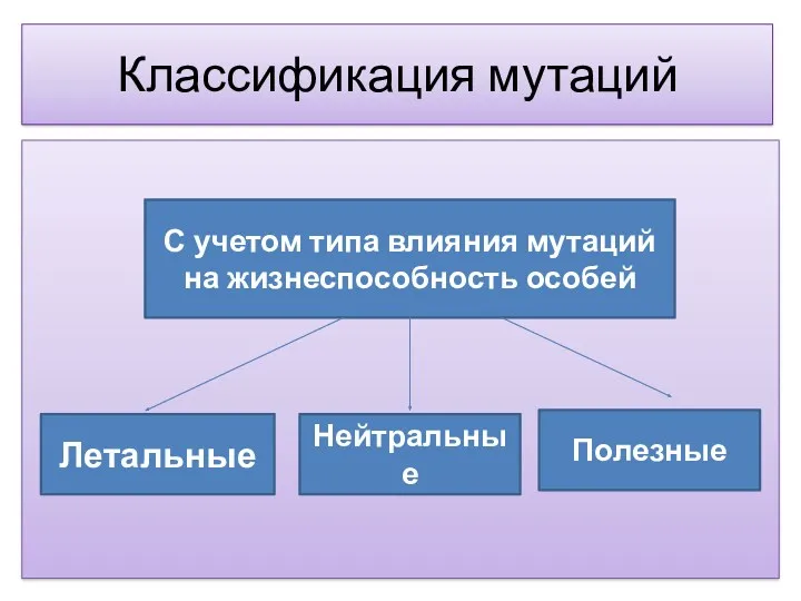 Классификация мутаций С учетом типа влияния мутаций на жизнеспособность особей Летальные Полезные Нейтральные