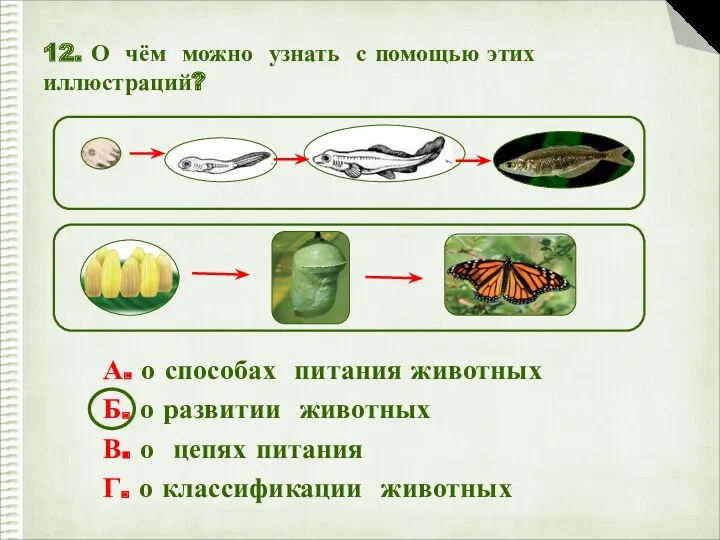 12. О чём можно узнать с помощью этих иллюстраций? А. о способах питания