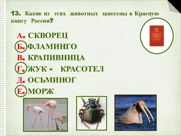 13. Какие из этих животных занесены в Красную книгу России?