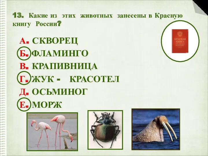 13. Какие из этих животных занесены в Красную книгу России? А. СКВОРЕЦ Б.