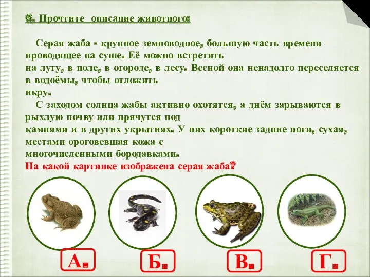 6. Прочтите описание животного: Серая жаба - крупное земноводное, большую часть времени проводящее