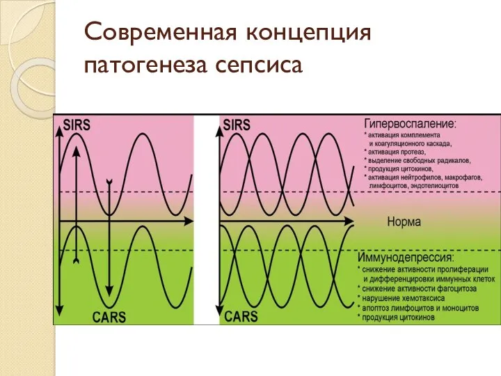 Современная концепция патогенеза сепсиса