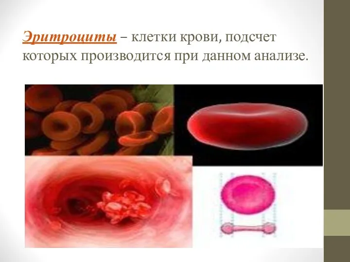 Эритроциты – клетки крови, подсчет которых производится при данном анализе.
