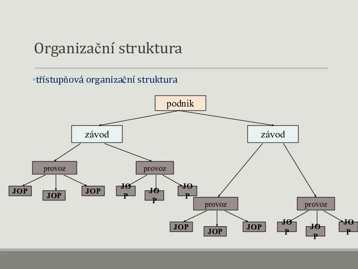 Organizační struktura třístupňová organizační struktura