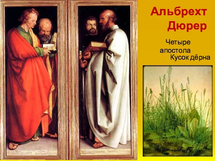 Четыре апостола Альбрехт Дюрер Кусок дёрна