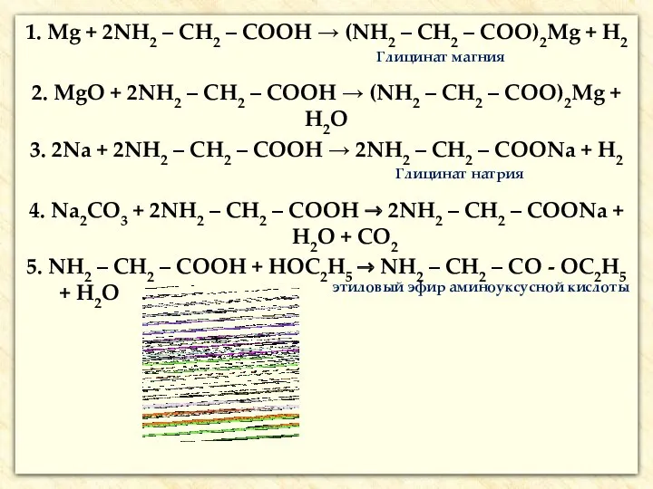 1. Mg + 2NH2 – CH2 – COOH → (NH2
