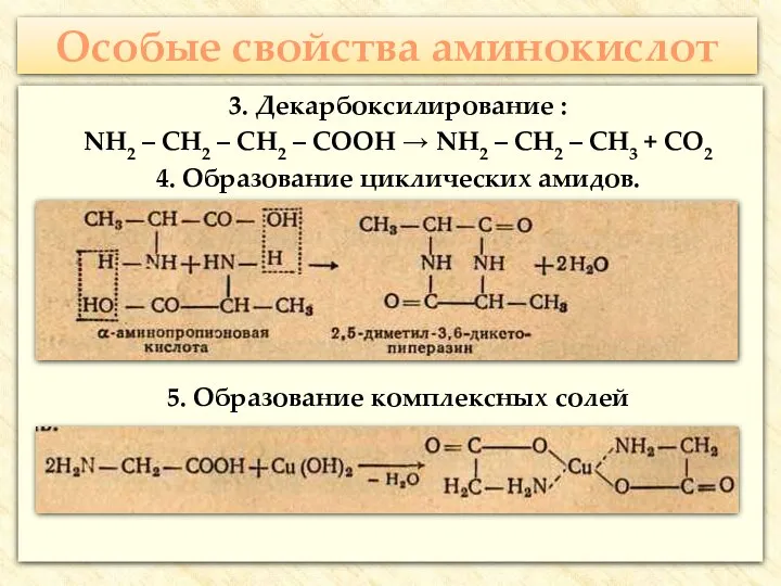 Особые свойства аминокислот 3. Декарбоксилирование : NH2 – CH2 –