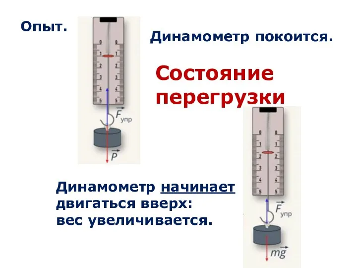 Динамометр покоится. Динамометр начинает двигаться вверх: вес увеличивается. Опыт. Со­сто­я­ние перегрузки