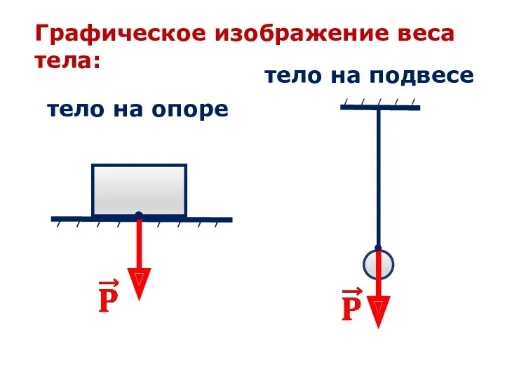 тело на опоре / / / / / / /