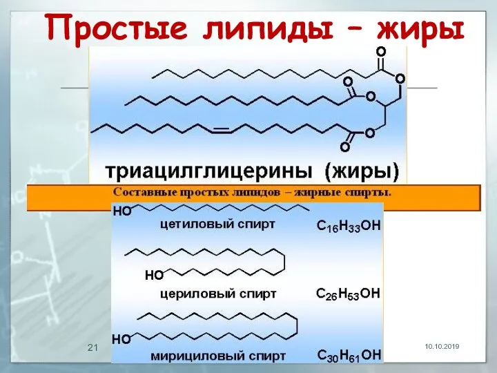 Простые липиды – жиры 10.10.2019