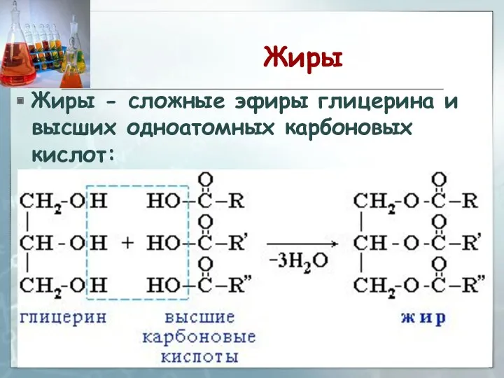 Жиры Жиры - сложные эфиры глицерина и высших одноатомных карбоновых кислот: 10.10.2019