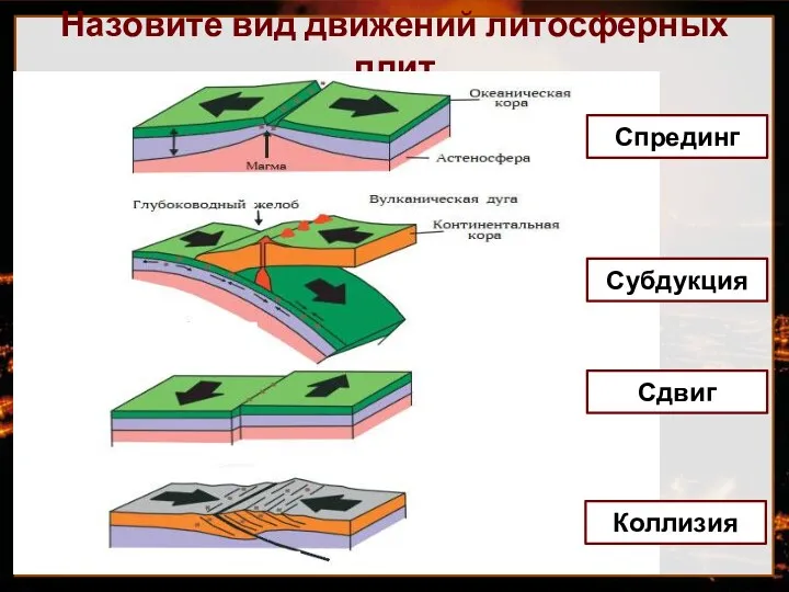 Назовите вид движений литосферных плит Спрединг Субдукция Сдвиг Коллизия